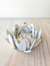Load image into Gallery viewer, King Protea
