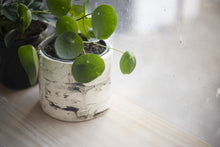 Load image into Gallery viewer, How to do a Marble Glaze Online Course