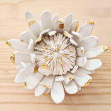 Load image into Gallery viewer, King Protea Calico Ceramics