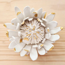 Load image into Gallery viewer, King Protea Calico Ceramics
